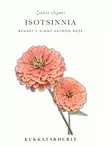 ISOTSINNIA BENARY'S GIANT SALMON ROSE - Tsinnian siemenet - 6430081120184 - 1
