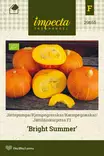 JÄTTIKURPITSA BRIGHT SUMMER - Kurpitsan siemenet - 7332756296554 - 1