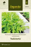LEHTISALAATTI RADICHETTA - Salaatin siemenet - 7332756295724 - 1