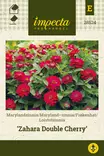 LOISTOTSINNIA ZAHARA DOUBLE CHERRY - Muut kesäkukkien siemenet - 7332756285244 - 1