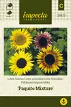 PIKKUAURINGONKUKKA PAQUITO MIXTURE - Auringonkukan siemenet - 7332756284124 - 1