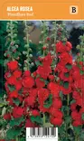 TARHASALKORUUSU PLENIFLORA RED - Muut perennat - 2099346900004 - 1
