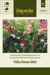 TUOKSUHERNE VILLA ROMA MIX - Muut kesäkukkien siemenet - 7332756287804 - 1