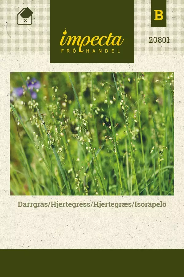 ISORÄPELÖ - Muut kesäkukkien siemenet - 7332756208014 - 1