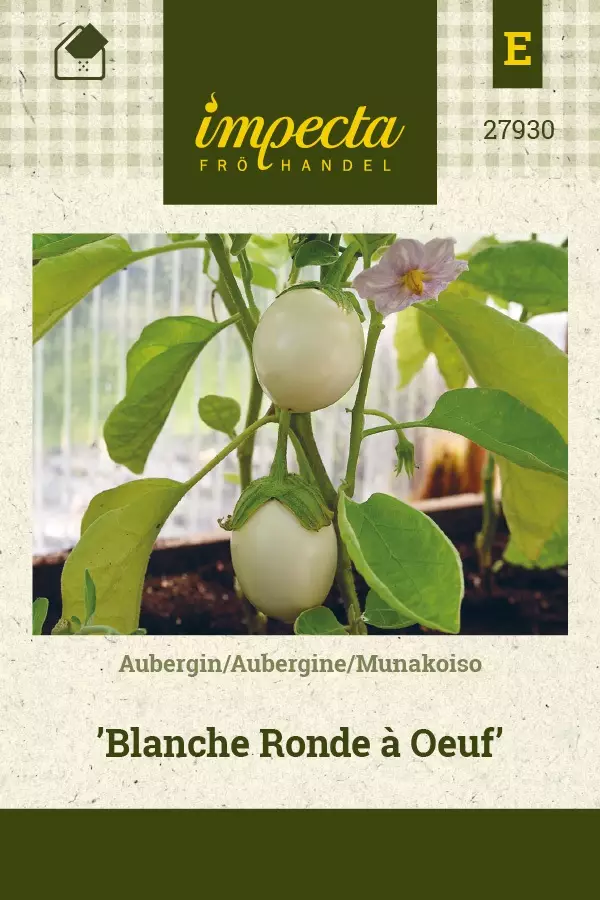 MUNAKOISO BLANCHE RONDE Á OEUF - Muut vihannesten siemenet - 7332756279304 - 1