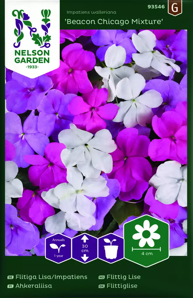 AHKERALIISA BEACON CHICAGO MIXTURE F1 - Muut kesäkukkien siemenet - 7312600935464 - 1