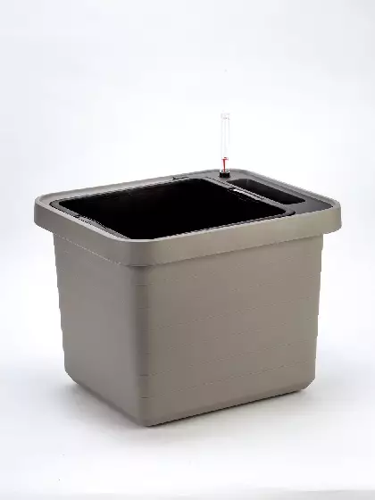 BERBERIS UNO KASVATUSLAATIKKO 45 CM - Ulkoruukut - 8590415012894 - 1