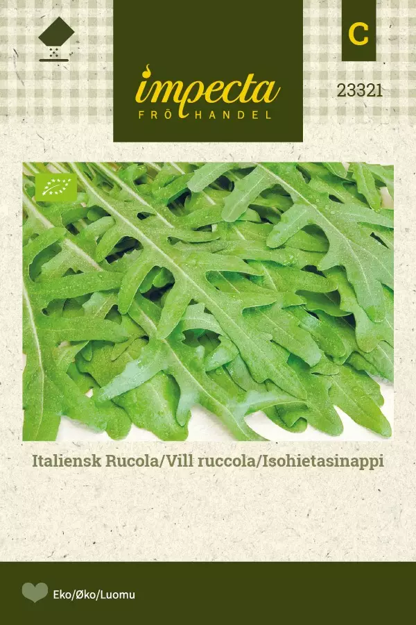 ISOHIETASINAPPI - Muut yrttien siemenet - 7332756233214 - 1