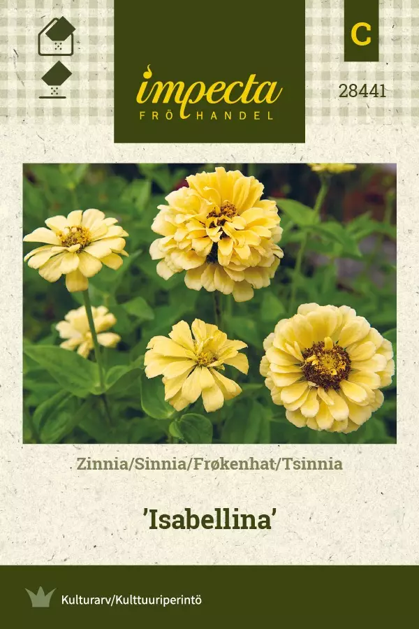 ISOTSINNIA ISABELLINA - Tsinnian siemenet - 7332756284414 - 1