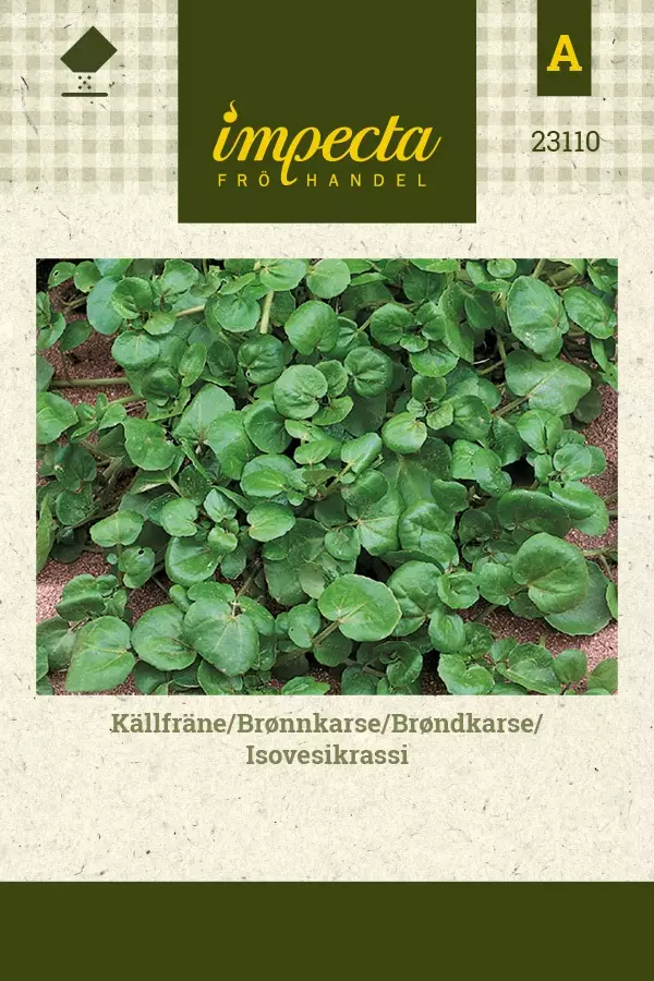 ISOVESIKRASSI - Muut yrttien siemenet - 7332756231104 - 1