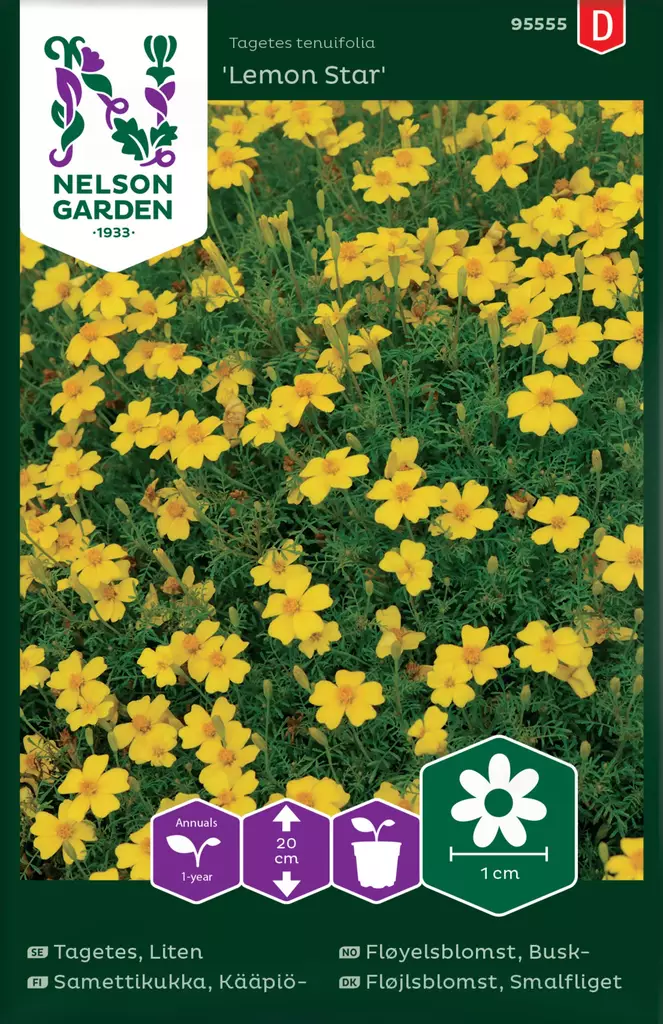 KÄÄPIÖSAMETTIKUKKA LEMON STAR - Muut kesäkukkien siemenet - 7312600955554 - 2