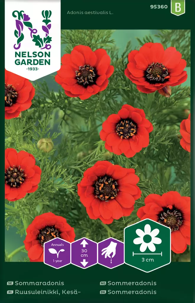 KESÄRUUSULEINIKKI - Muut kesäkukkien siemenet - 7312600953604 - 2