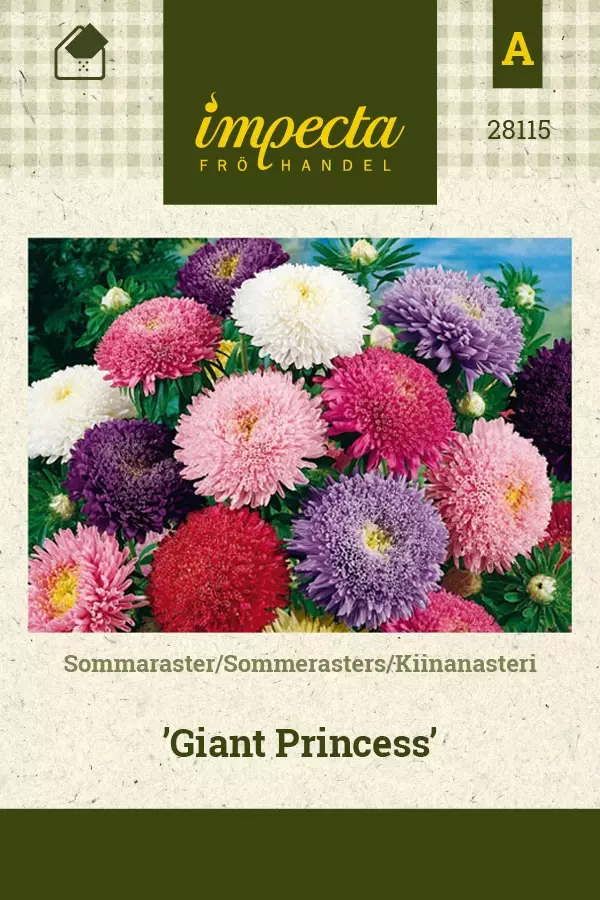 KIINANASTERI GIANT PRINCESS - Asterin siemenet - 7332756281154 - 1