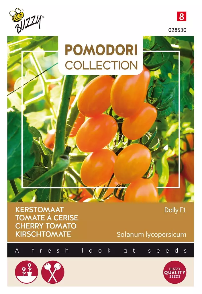 KIRSIKKATOMAATTI DOLLY F1 - Tomaatin siemenet - 8711117285304 - 1