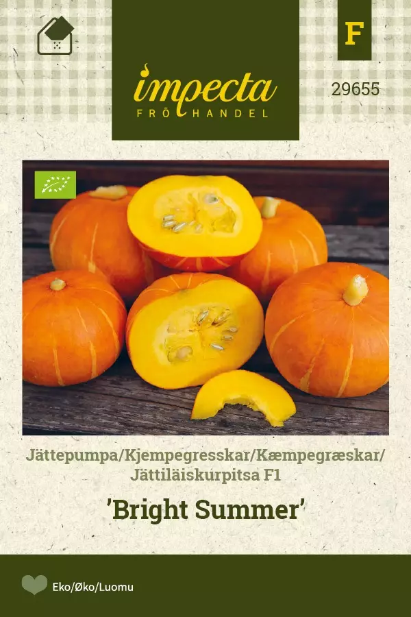 JÄTTIKURPITSA BRIGHT SUMMER - Kurpitsan siemenet - 7332756296554 - 1