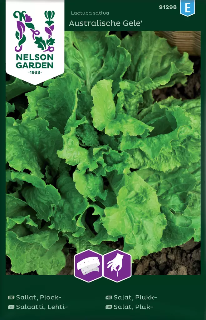 LEHTISALAATTI AUSTRALIALAINEN, KYLVÖNAUH - Salaatin siemenet - 7312600912984 - 2