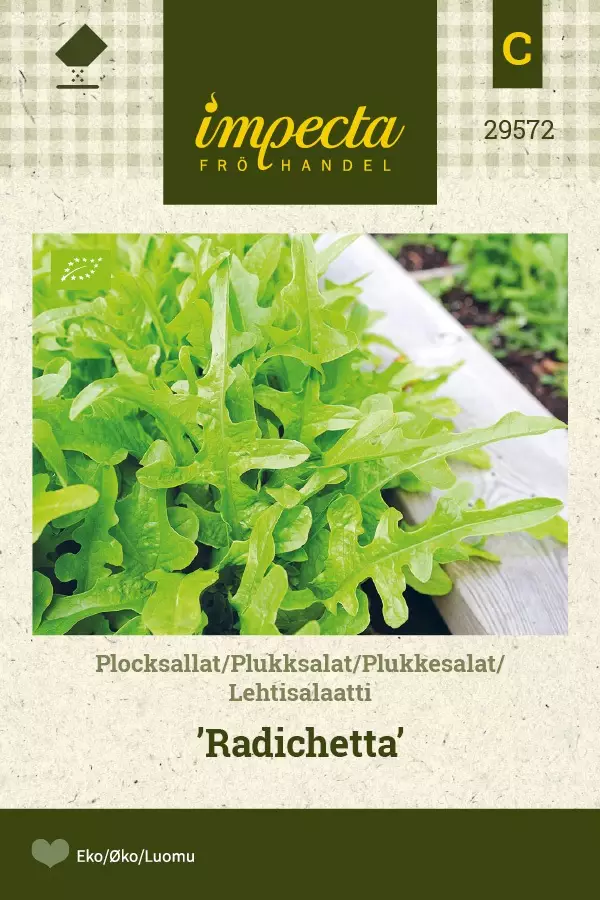 LEHTISALAATTI RADICHETTA - Salaatin siemenet - 7332756295724 - 1