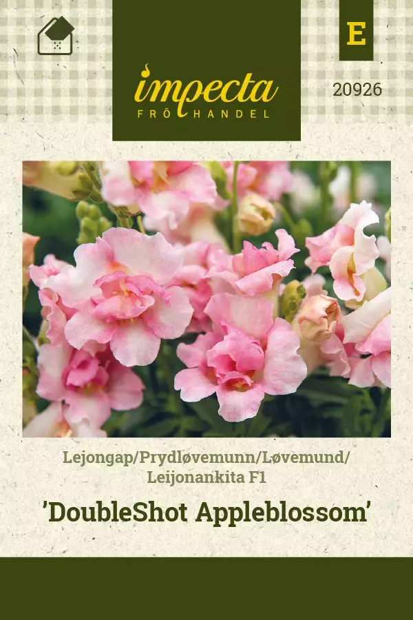 LEIJONANKITA DOUBLESHOT APPLEBLOSSOM F1 - Muut kesäkukkien siemenet - 7332756209264 - 1