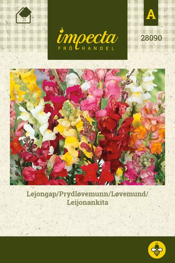 LEIJONANKITA MIX - Muut kesäkukkien siemenet - 7332756280904 - 1