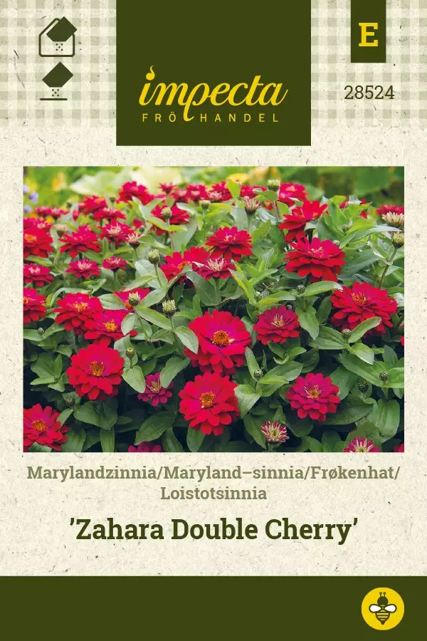 LOISTOTSINNIA ZAHARA DOUBLE CHERRY - Muut kesäkukkien siemenet - 7332756285244 - 1