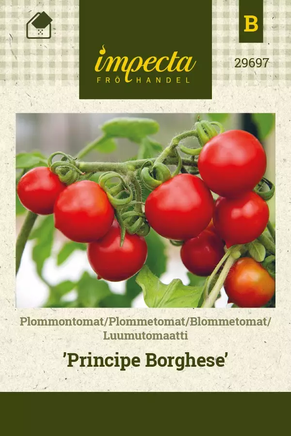 LUUMUTOMAATTI PRINCIPE BORGHESE - Tomaatin siemenet - 7332756296974 - 1