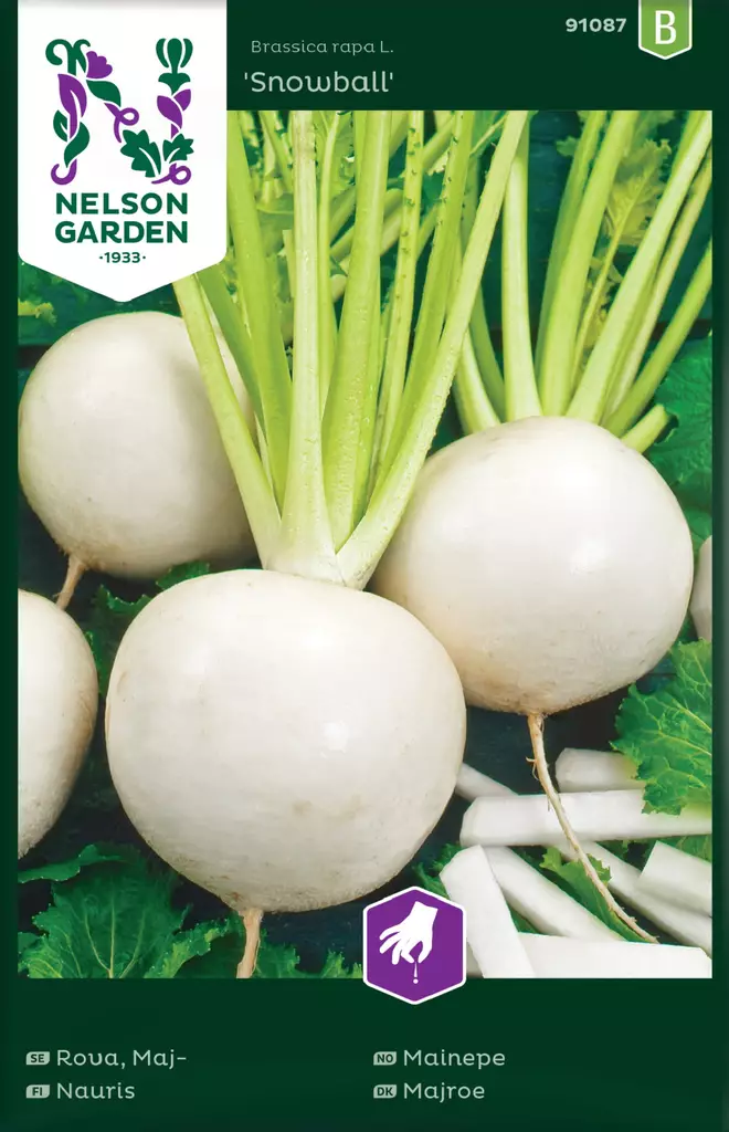 NAURIS SNOWBALL - Muut vihannesten siemenet - 7312600910874 - 2