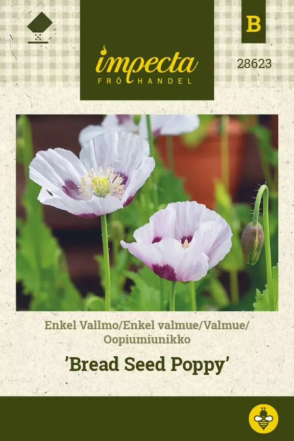 OOPIUMIUNIKKO BREAD SEED POPPY - Muut kesäkukkien siemenet - 7332756286234 - 1