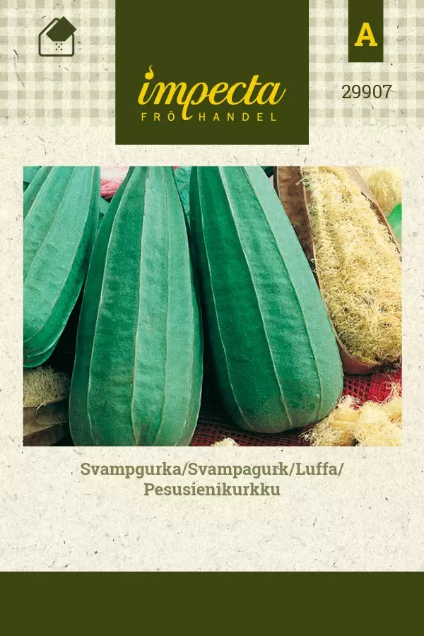 PESUSIENIKURKKU - Kurkun siemenet - 7332756299074 - 1