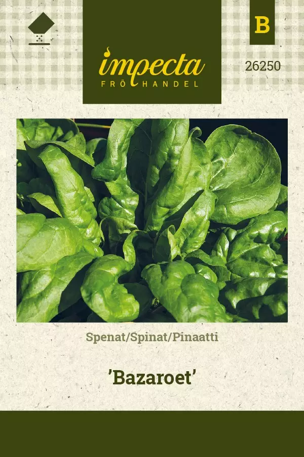 PINAATTI BAZAROET - Muut vihannesten siemenet - 7332756262504 - 1