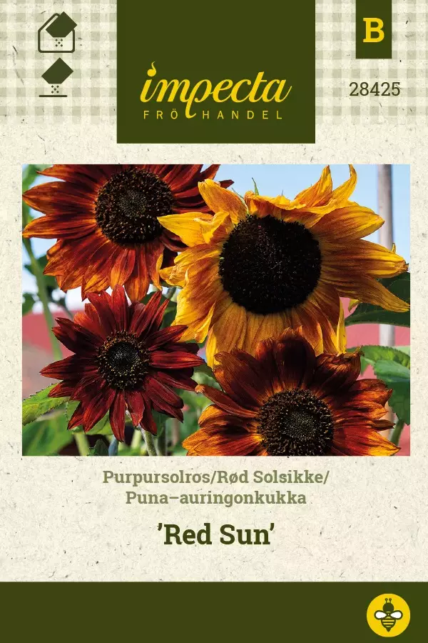 PUNA-AURINGONKUKKA RED SUN - Auringonkukan siemenet - 7332756284254 - 1