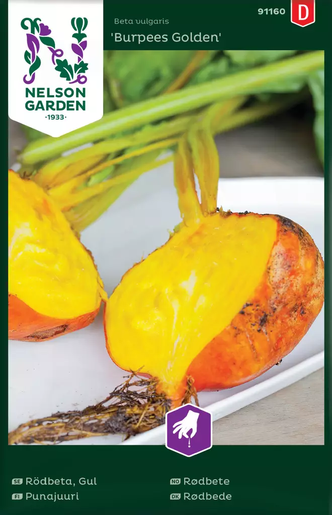 PUNAJUURI BURPEES GOLDEN - Punajuuren siemenet - 7312600911604 - 2