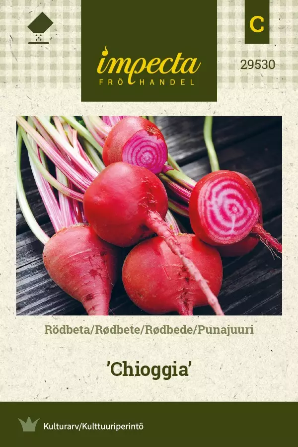PUNAJUURI CHIOGGIA - Punajuuren siemenet - 7332756295304 - 1