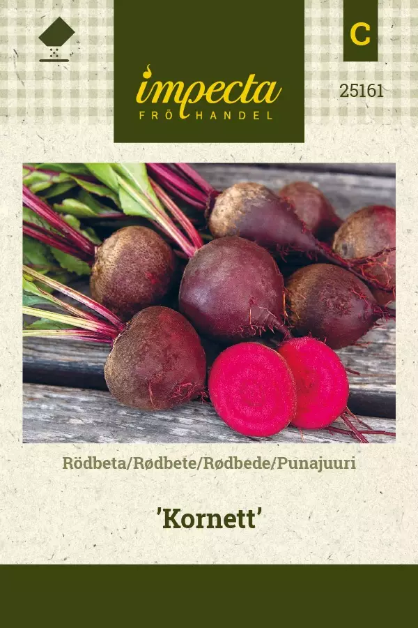 PUNAJUURI KORNETT - Punajuuren siemenet - 7332756251614 - 1