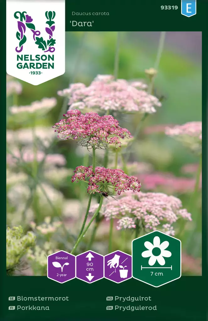 RIKKAPORKKANA DARA - Muut kesäkukkien siemenet - 7312600933194 - 2