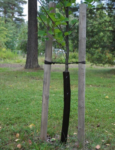 RUNGONSUOJA 90 CM X 40 MM 3 KPL/SETTI - Tuenta- ja sidontatarvikkeet - 6430068433184 - 1