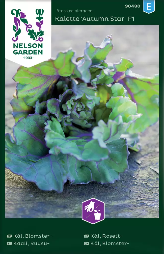 RUUSUKAALI AUTUMN STAR - Kaalin siemenet - 7312600904804 - 2