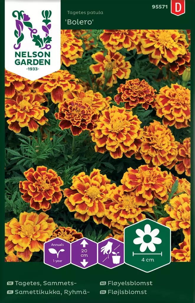 RYHMÄSAMETTIKUKKA BOLERO - Muut kesäkukkien siemenet - 7312600955714 - 2