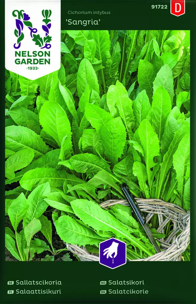 SALAATTISIKURI SANGRIA - Muut vihannesten siemenet - 7312600917224 - 1