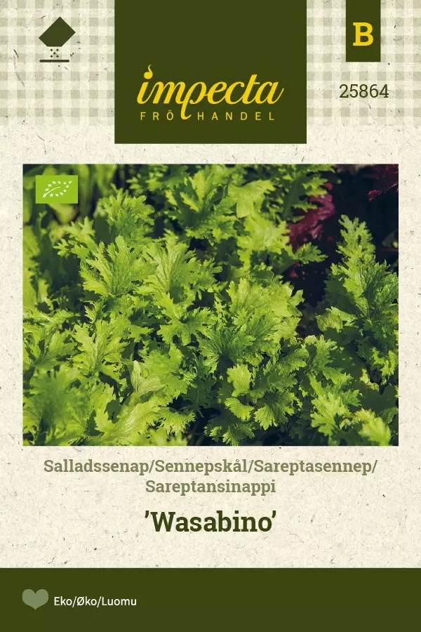 SALAATTISINAPPI WASABINO - Salaatin siemenet - 7332756258644 - 1