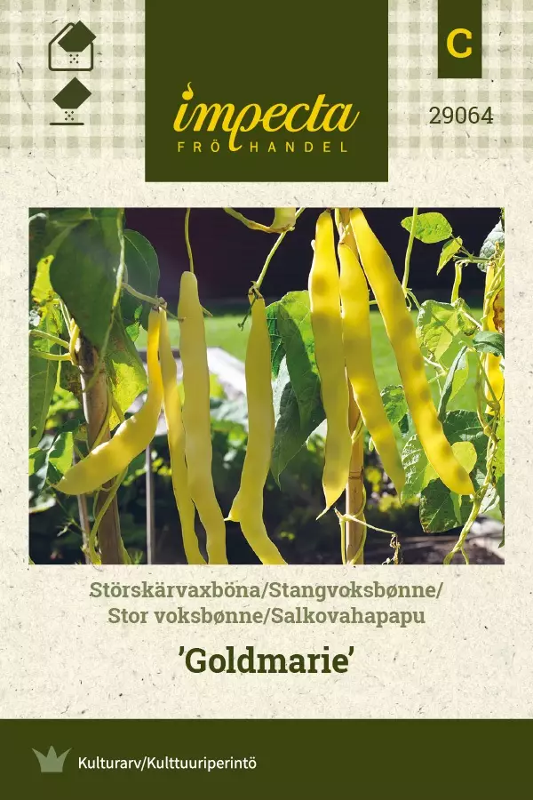 SALKOVAHAPAPU GOLDMARIE - Pavun siemenet - 7332756290644 - 1