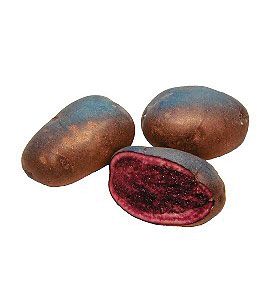 SIEMENPERUNA BLUE CONGO 1 KG - Siemenperunat - 6417486003694 - 1