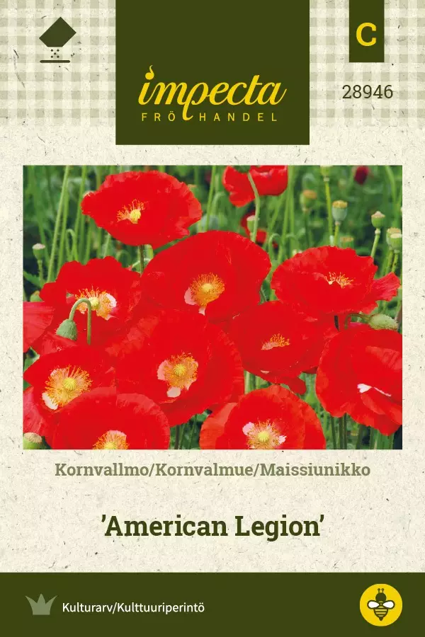 SILKKIUNIKKO AMERICAN LEGION - Muut kesäkukkien siemenet - 7332756289464 - 1