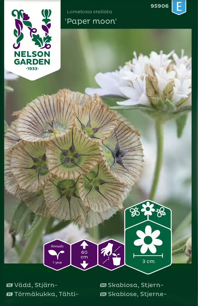TÄHTITÖRMÄKUKKA PAPER MOON - Muut kesäkukkien siemenet - 7312600959064 - 1