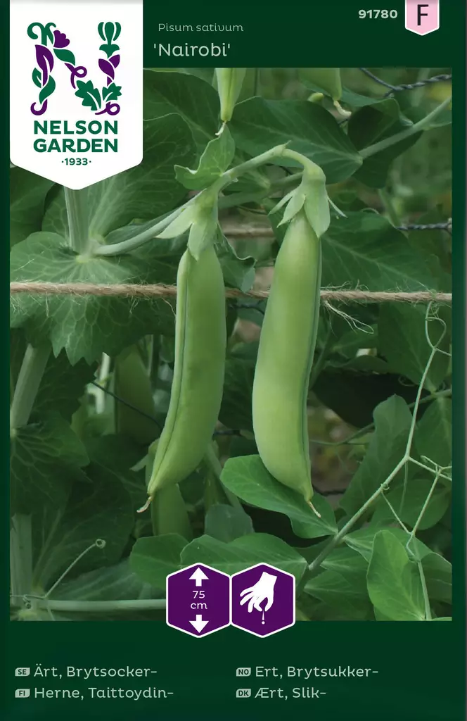 TAITTOYDINHERNE NAIROBI - Herneen siemenet - 7312600917804 - 1