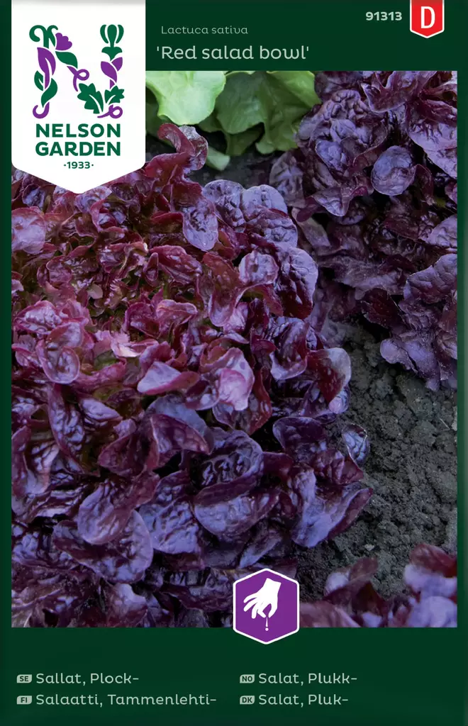 TAMMENLEHTISALAATTI RED SALAD BOWL - Salaatin siemenet - 7312600913134 - 2