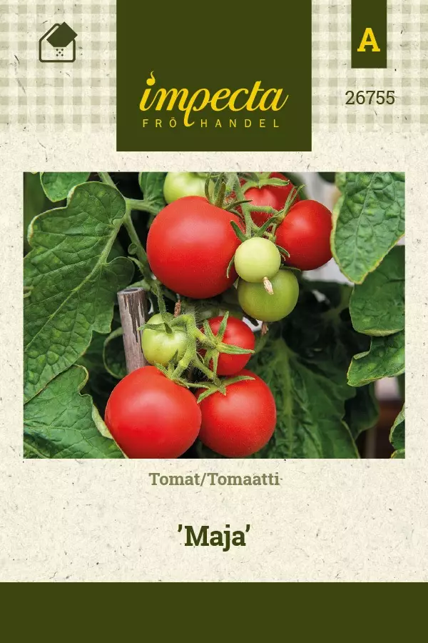 TOMAATTI MAJA - Tomaatin siemenet - 7332756267554 - 1