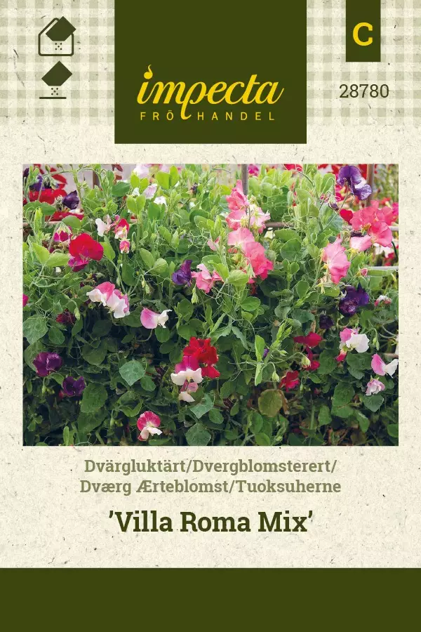 TUOKSUHERNE VILLA ROMA MIX - Muut kesäkukkien siemenet - 7332756287804 - 1
