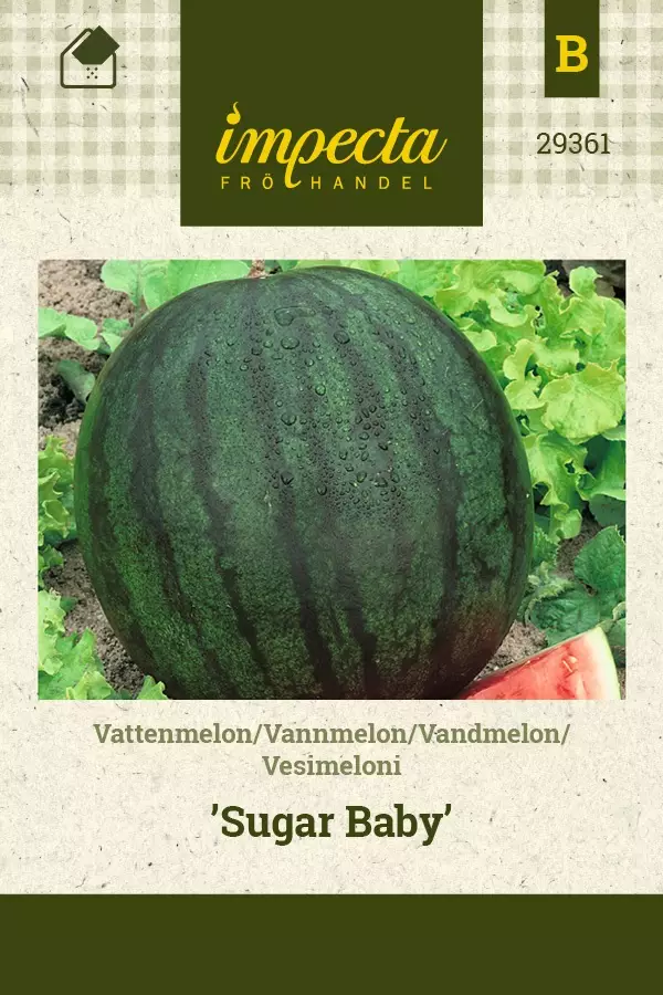 VESIMELONI SUGAR BABY - Muut vihannesten siemenet - 7332756293614 - 1