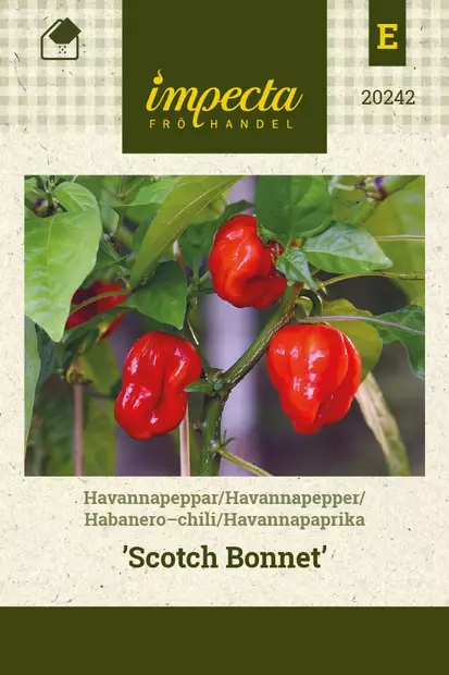 HAVANNAPAPRIKA SCOTCH BONNET - Paprikan ja chilin siemenet - 7332756202425 - 1