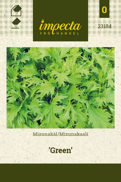 MIZUNAKAALI GREEN - Kaalin siemenet - 7332756231845 - 1